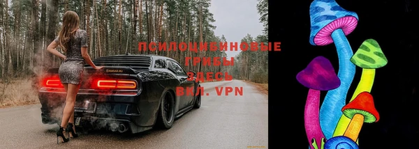 тгк Алексин