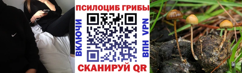 Галлюциногенные грибы мицелий  Пикалёво 